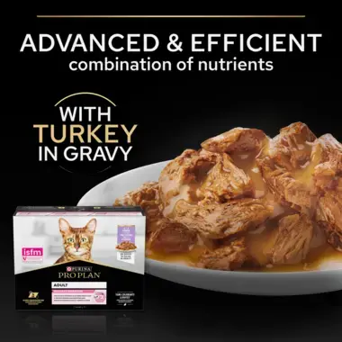 Advanced & efficient combination of nutrients with turkey in gravy
